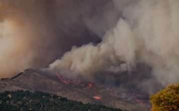 Windward taps ZestyAI for California wildfire risk