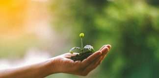 mea Platform, an AI-native InsurTech company, has appointed marketing agency Converge to lead an integrated growth and brand strategy programme following its recent $50m funding round.