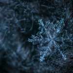 ManageMy, an InsurTech platform focused on customer and agent engagement for insurers, has launched a new integration with Snowflake aimed at giving carriers direct access to operational data across policy, billing, claims and distribution systems.