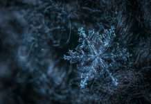 ManageMy, an InsurTech platform focused on customer and agent engagement for insurers, has launched a new integration with Snowflake aimed at giving carriers direct access to operational data across policy, billing, claims and distribution systems.