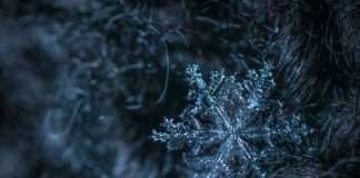 ManageMy, an InsurTech platform focused on customer and agent engagement for insurers, has launched a new integration with Snowflake aimed at giving carriers direct access to operational data across policy, billing, claims and distribution systems.