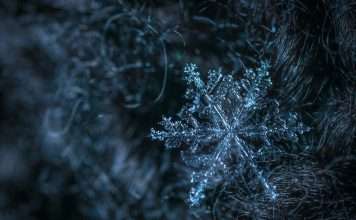ManageMy brings insurance data access to Snowflake ManageMy, an InsurTech platform focused on customer and agent engagement for insurers, has launched a new integration with Snowflake aimed at giving carriers direct access to operational data across policy, billing, claims and distribution systems.