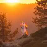 InsurTech firm Corgi has reached unicorn status after raising $160m in Series B funding at a $1.3bn valuation.