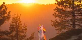 InsurTech firm Corgi has reached unicorn status after raising $160m in Series B funding at a $1.3bn valuation.