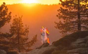 InsurTech firm Corgi has reached unicorn status after raising $160m in Series B funding at a $1.3bn valuation.