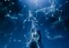 Multinational insurer Prudential has launched an AI-powered assistant designed to help financial professionals access underwriting information, product details and business forms more quickly across its life insurance operations.