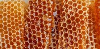 Honeycomb Insurance raises $40m in new funding round