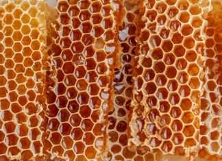 Honeycomb Insurance raises $40m in new funding round