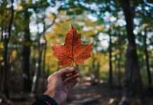 Akur8 lands Portage Mutual in Canada pricing deal