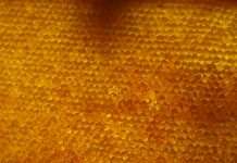 AI InsurTech Honeycomb secures $40m to fuel expansion Digital insurer Honeycomb Insurance has raised an additional $40m in funding as it looks to expand its geographical footprint, enhance its underwriting technology and broaden its product offering.