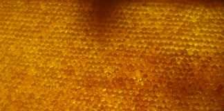 Digital insurer Honeycomb Insurance has raised an additional $40m in funding as it looks to expand its geographical footprint, enhance its underwriting technology and broaden its product offering.