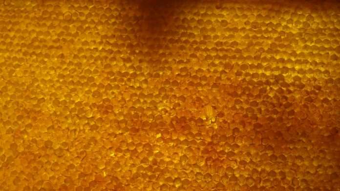 Digital insurer Honeycomb Insurance has raised an additional $40m in funding as it looks to expand its geographical footprint, enhance its underwriting technology and broaden its product offering.