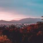 Federato brings AI insurance platform to APAC and Japan