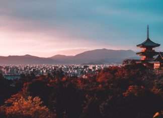 Federato brings AI insurance platform to APAC and Japan