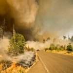 ZestyAI powers DUAL's California wildfire underwriting