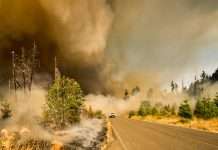 ZestyAI powers DUAL's California wildfire underwriting
