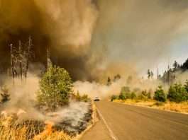 ZestyAI powers DUAL's California wildfire underwriting