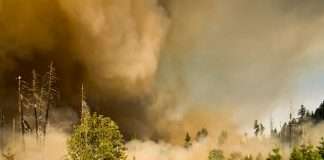 ZestyAI powers DUAL's California wildfire underwriting
