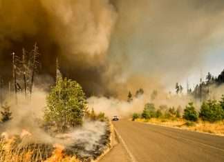 ZestyAI powers DUAL’s California wildfire underwriting ZestyAI powers DUAL's California wildfire underwriting