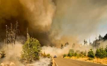 ZestyAI powers DUAL's California wildfire underwriting