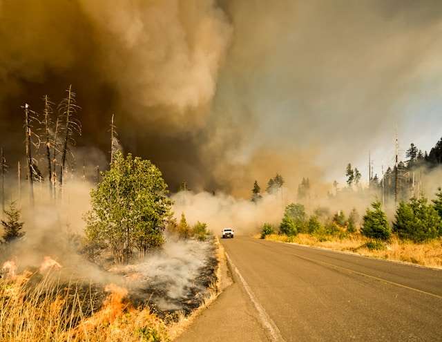 marcus-kauffman--iretlQZEU4-unsplash (1) ZestyAI powers DUAL's California wildfire underwriting