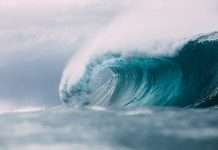 TPG-backed Third Wave broadens regional brokerage reach