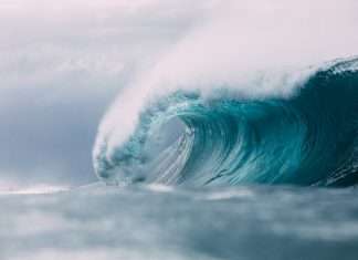 TPG-backed Third Wave broadens regional brokerage reach