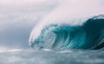 TPG-backed Third Wave broadens regional brokerage reach TPG-backed Third Wave broadens regional brokerage reach