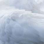 Feathery’s $30m raise targets insurance workflow gaps