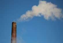 Kita deepens Tokio Marine tie-up on carbon credit risk