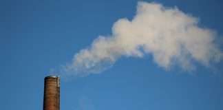 Kita deepens Tokio Marine tie-up on carbon credit risk