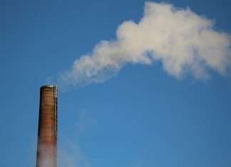 Kita deepens Tokio Marine tie-up on carbon credit risk