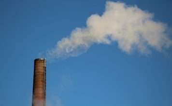 Kita deepens Tokio Marine tie-up on carbon credit risk