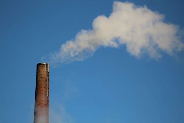 anne-nygard-vc-vPgGqAr4-unsplash Kita deepens Tokio Marine tie-up on carbon credit risk
