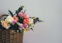 Spintop backs Solace Care's grief-support platform