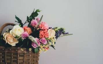 Spintop backs Solace Care's grief-support platform