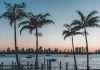 Lemonade Car arrives in Florida to widen US reach