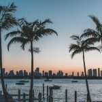 Lemonade Car arrives in Florida to widen US reach