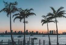 Lemonade Car arrives in Florida to widen US reach