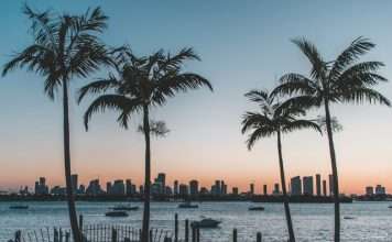 Lemonade Car arrives in Florida to widen US reach