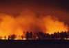 RockRose Risk lands $12.5m to reshape wildfire insurance RockRose Risk lands $12.5m to reshape wildfire insurance