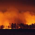 RockRose Risk lands $12.5m to reshape wildfire insurance