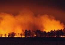 RockRose Risk lands $12.5m to reshape wildfire insurance