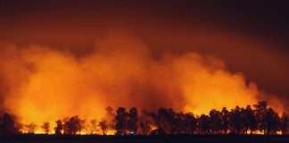 RockRose Risk lands $12.5m to reshape wildfire insurance