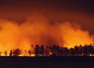 RockRose Risk lands $12.5m to reshape wildfire insurance