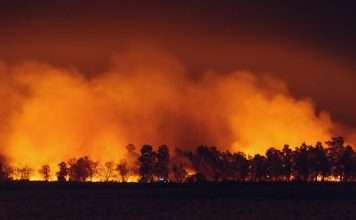 RockRose Risk lands $12.5m to reshape wildfire insurance