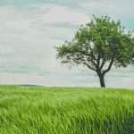 LendingTree bets on product breadth to drive growth