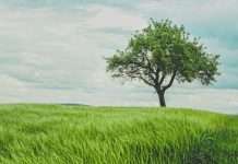 LendingTree bets on product breadth to drive growth