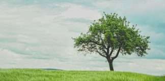LendingTree bets on product breadth to drive growth