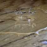 ZestyAI's Z-WATER wins approval in 20+ US states